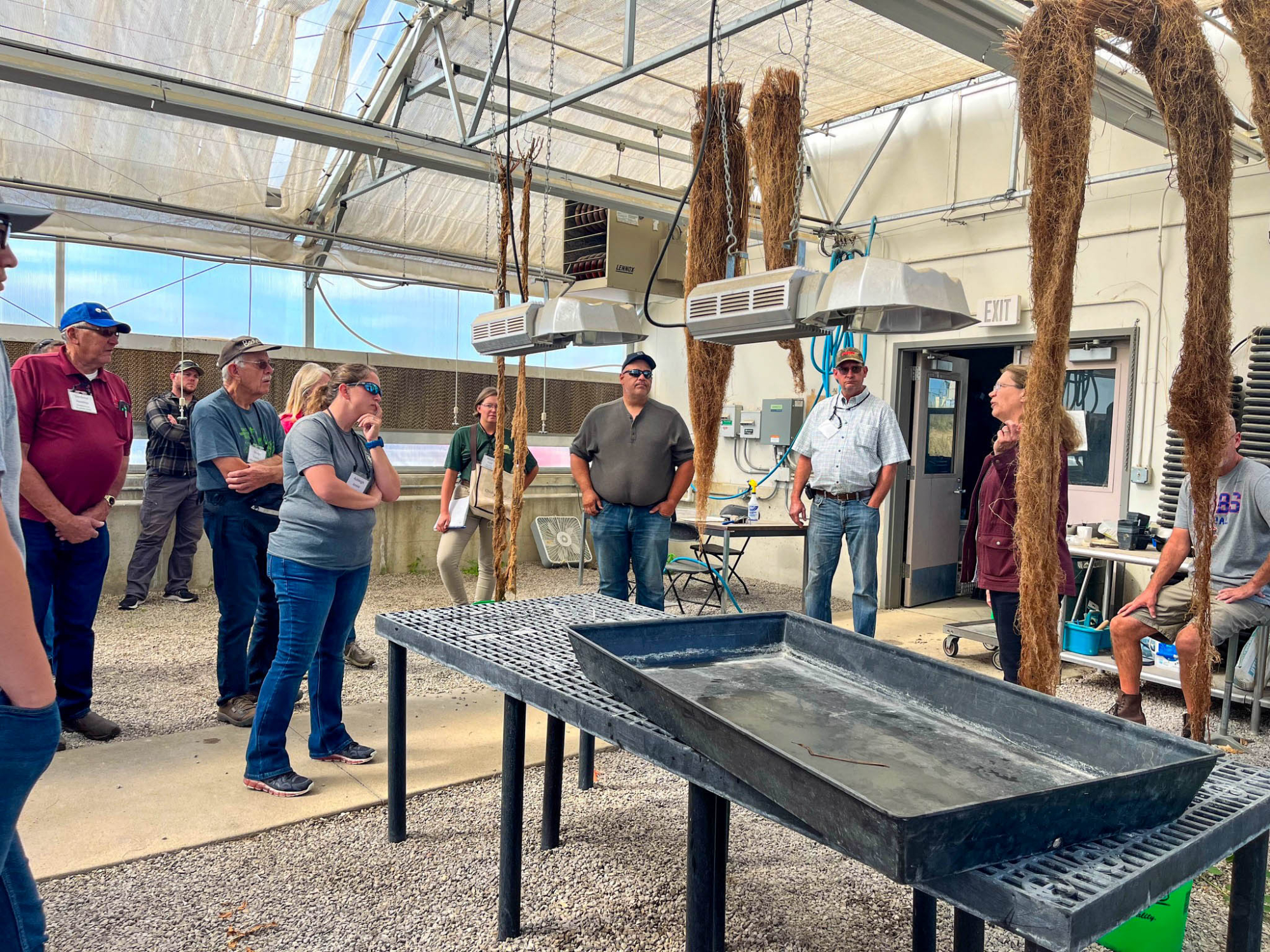 Roadside Conference attendees visit a greenhouse with tall prairie roots at the Tallgrass Prairie Center during a conference field outing.
