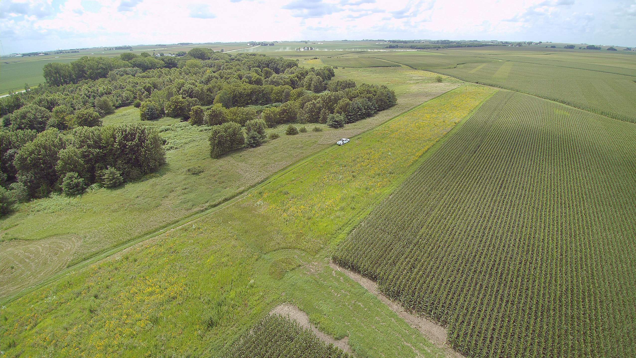 Prairie Strip