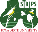 STRIPS Logo