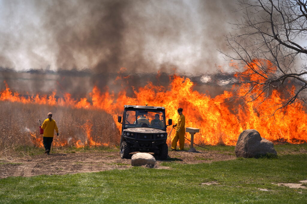 Prescribed burn at Irvine Prairie
